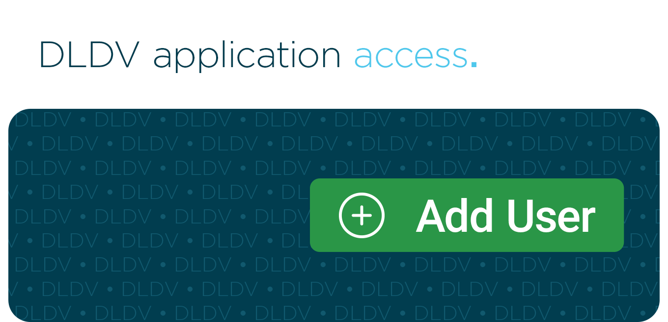 DLDV application access
