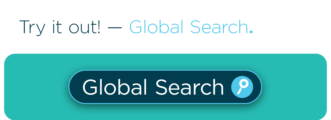Try it out! — Global Search.