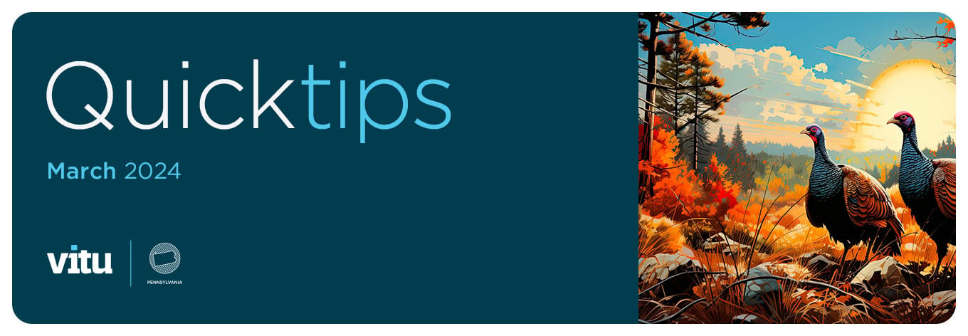 March 2024 Vitu Quick Tips