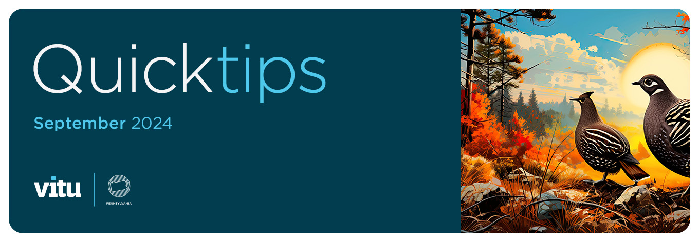 September 2024 Vitu Quick Tips.